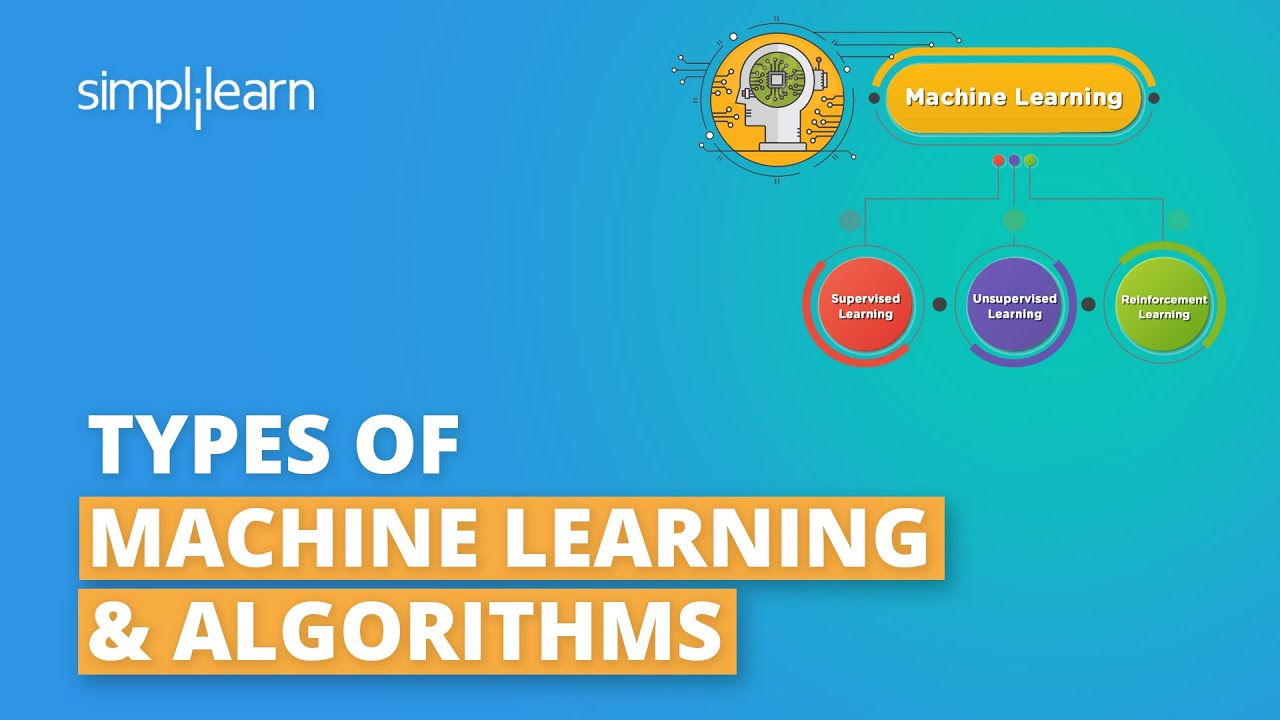 Understanding the Types of Machine Learning 🤖